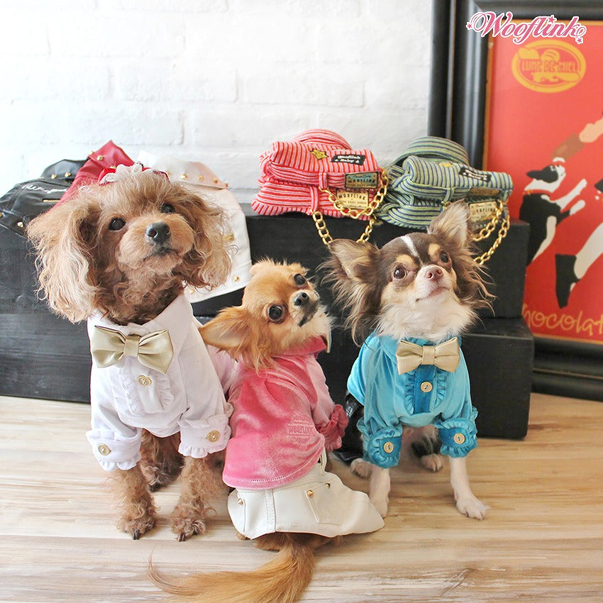 【WOOFLINK】MY HOLIDAY SHIRTS White (ウーフリンク) 【犬服 シャツ ベロアブラウス トップス】【犬服 ブランド】