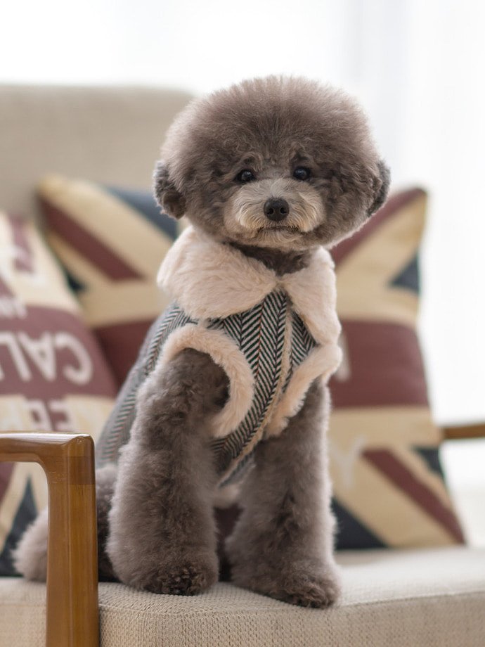 ヘリンボーンチェックムスタンハーネス Herringbone Mustang Harness 【小型犬/アウター/ヘリンボーン/ジャンパー/防寒/コート/ハーネス ジャケット/コート/犬服/ベスト】【犬服 ブランド】