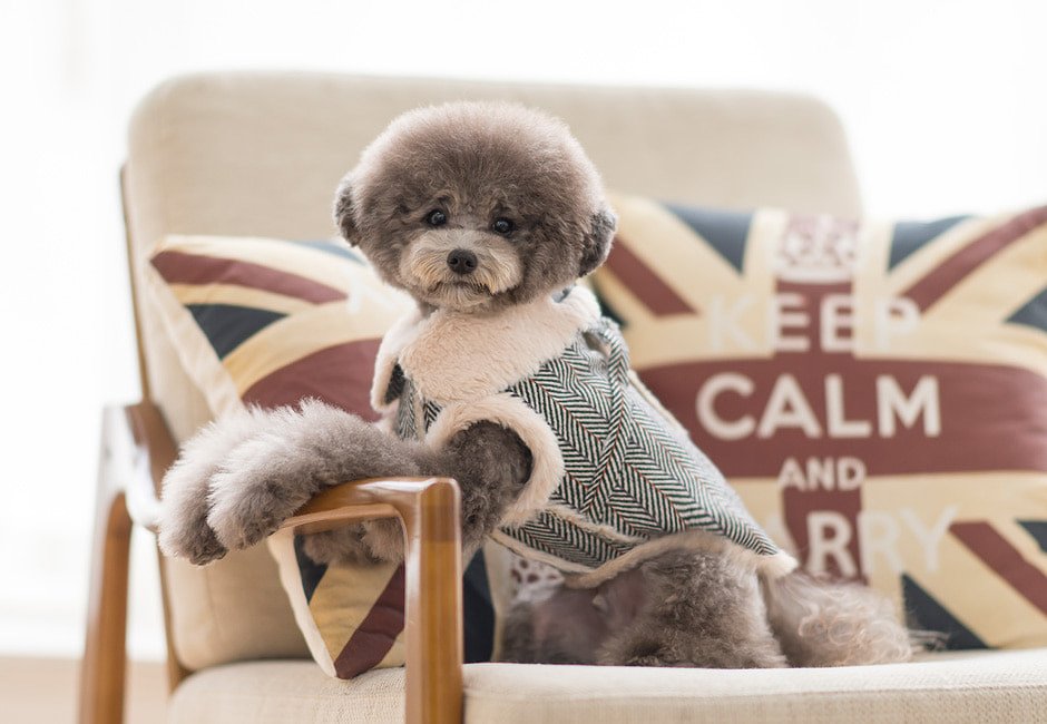 ヘリンボーンチェックムスタンハーネス Herringbone Mustang Harness 【小型犬/アウター/ヘリンボーン/ジャンパー/防寒/コート/ハーネス ジャケット/コート/犬服/ベスト】【犬服 ブランド】