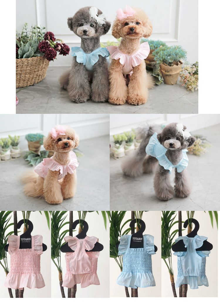 【ピンク&ブルー】クロップレースノースリーブ Crop Lace Sleeveless 【小型犬/ノースリーブ/シンプル/コットン/レース/トップス/ ドッグウェア/犬服/ミニドレス/ttry】【犬服 ブランド】