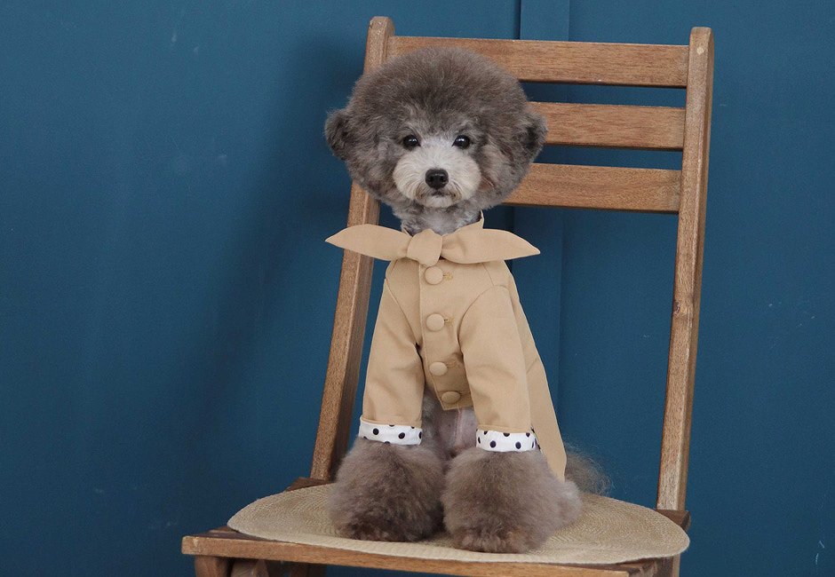 ドットトレンチコート Dot Trench Coat 【小型犬/アウター/ドット/ジャンパー/防寒/トレンチ ジャケット/コート/犬服/ボタン】【犬服 ブランド】