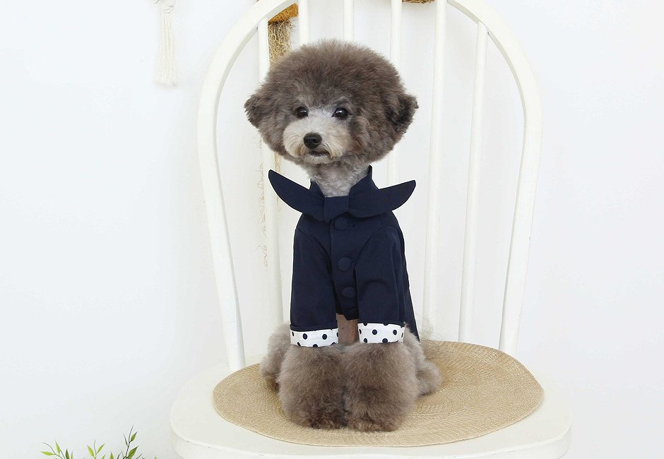 ドットトレンチコート Dot Trench Coat 【小型犬/アウター/ドット/ジャンパー/防寒/トレンチ ジャケット/コート/犬服/ボタン】【犬服 ブランド】