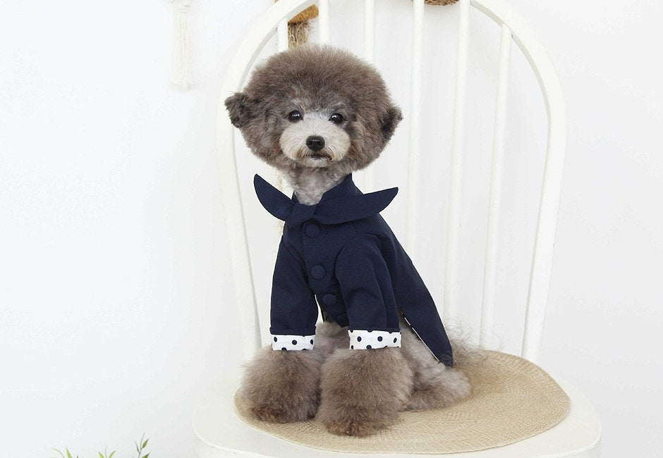 ドットトレンチコート Dot Trench Coat 【小型犬/アウター/ドット/ジャンパー/防寒/トレンチ ジャケット/コート/犬服/ボタン】【犬服 ブランド】