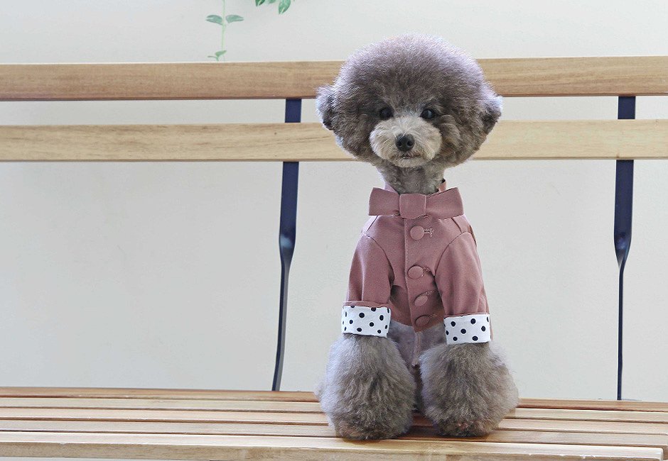 ドットトレンチコート Dot Trench Coat 【小型犬/アウター/ドット/ジャンパー/防寒/トレンチ ジャケット/コート/犬服/ボタン】【犬服 ブランド】