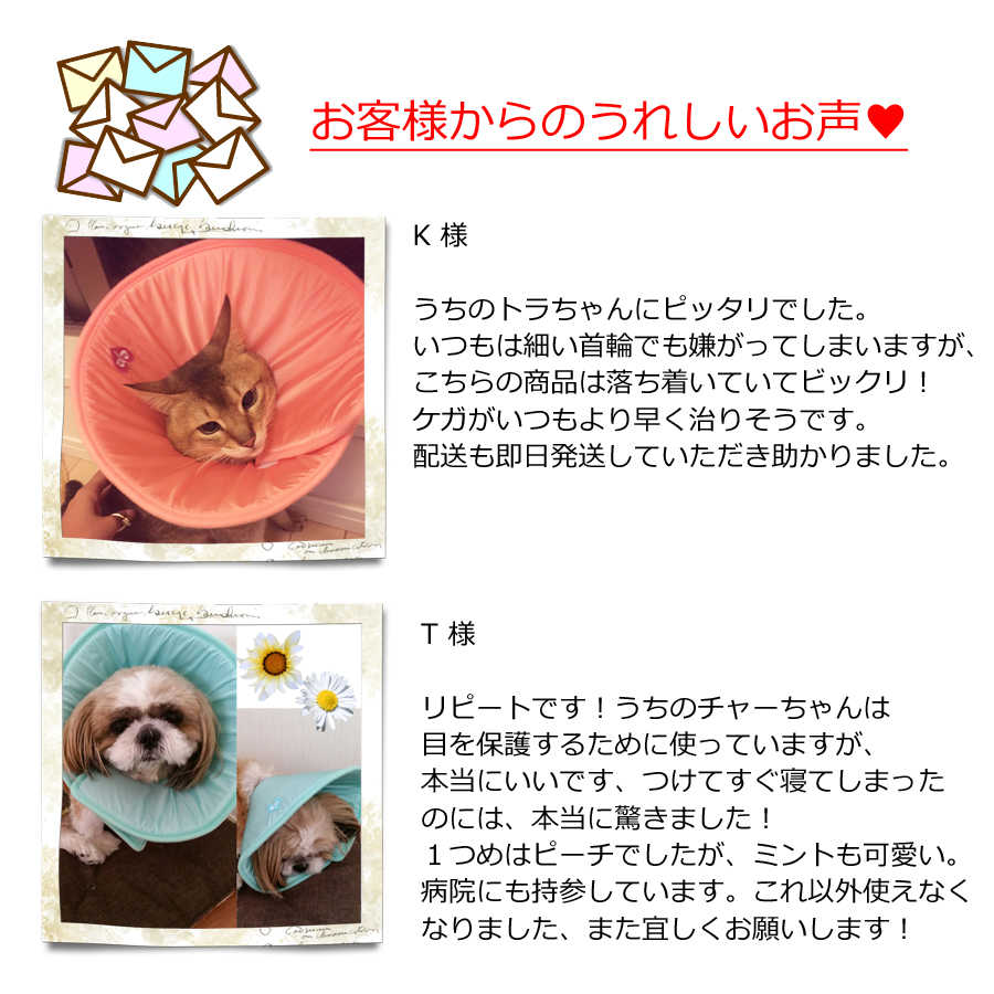 【ワケあり】XLサイズ エリザベスカラー (EP-STXL)【大型 大きいサイズ】 【エリザベスカラー】 ソフト 猫 犬 犬用 猫用 ソフトエリザベス プロテクター エリカラ カラー 柔らかい 可愛い ピンク グリーン 大きい 大型 手術 怪我 傷口 保護 柔らかい