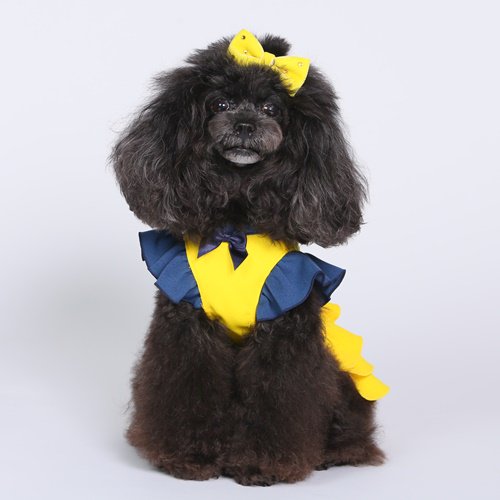 キラキラリボンバレッタ GODPIVA ゴッドピヴァ ベルベットリボン スワロフスキー 犬 服 ドッグウェア 犬用品 犬用 小型犬 中型犬