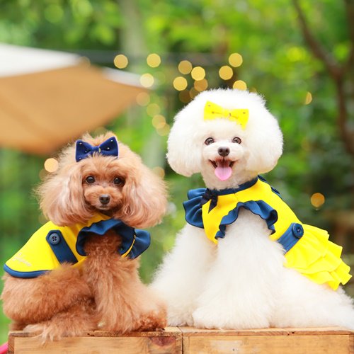 キラキラリボンバレッタ GODPIVA ゴッドピヴァ ベルベットリボン スワロフスキー 犬 服 ドッグウェア 犬用品 犬用 小型犬 中型犬