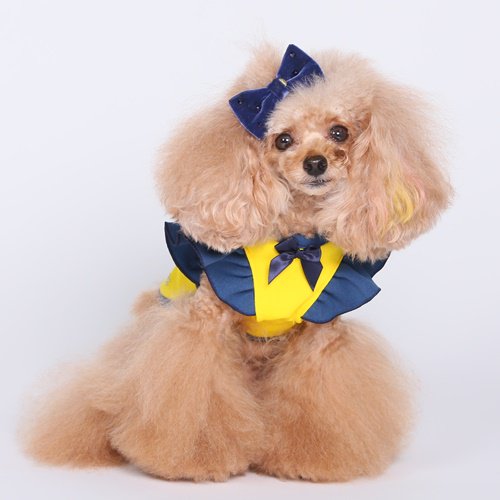 キラキラリボンバレッタ GODPIVA ゴッドピヴァ ベルベットリボン スワロフスキー 犬 服 ドッグウェア 犬用品 犬用 小型犬 中型犬