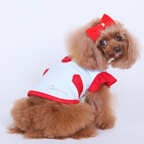 キラキラリボンバレッタ GODPIVA ゴッドピヴァ ベルベットリボン スワロフスキー 犬 服 ドッグウェア 犬用品 犬用 小型犬 中型犬