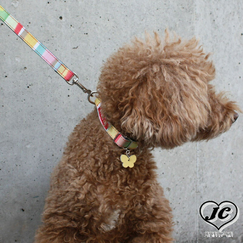 【イエロー/SS】BIRDIE マルチボーダーカラー カラフルなレインボーカラーの首輪 5colorssize 【(バーディ)小型犬用ワンタッチバックル首輪】