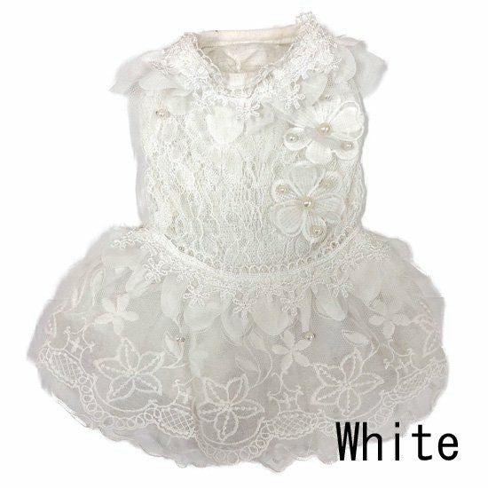 GM Pearl lace dress【サイズS】BONNIE&CO.【犬服/ドッグウェア/ペットウェア】