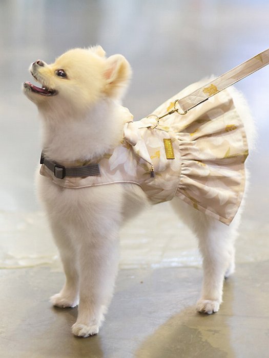 【Sサイズ】リリードレスハーネスSET 【小型犬 犬用 リード ハーネス 胴輪 セレブ デザイン 花柄 シンプル 上質 リリー】【犬服 ブランド】