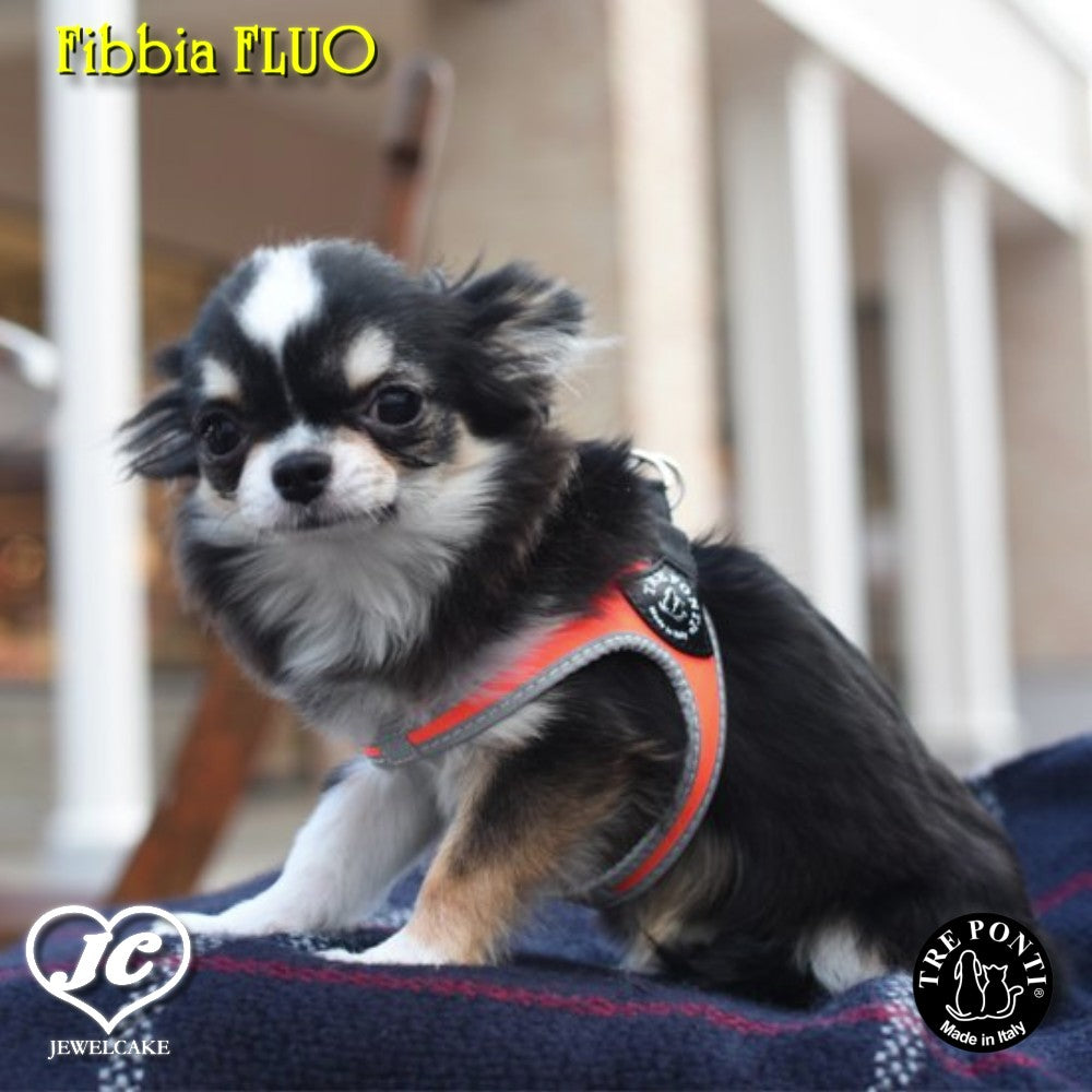 【オレンジ/3号】Fibbia FLUO TRE PONTI LTP111 ハーネス (シンプルタイプ) トレポンティ 小型犬 運動 シンプル設計 夜間のウォーキング 軽量 丈夫 ノンアレルギー 耐水性 犬服 ペット・ペットグッズ 犬用品 中型犬