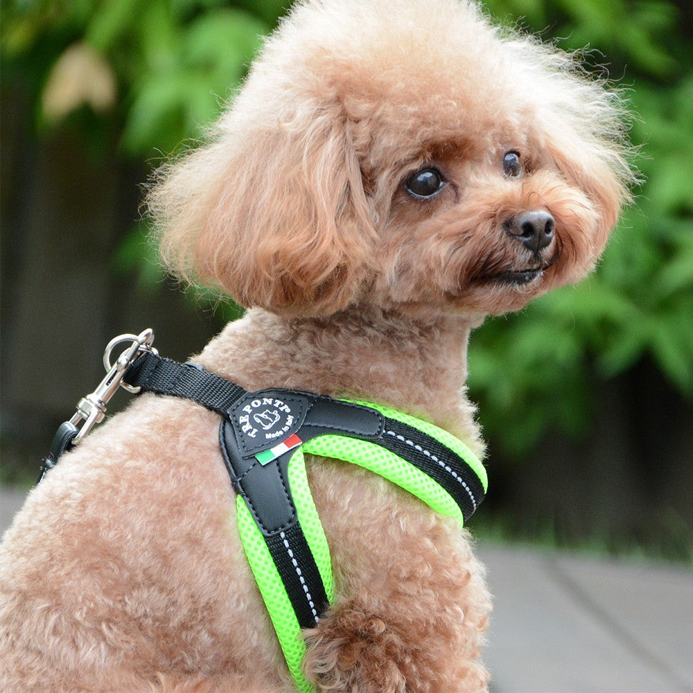 【3号/ブルー】fibbia SOFT MESH TRE PONTI LTP113 | ハーネス (シンプルタイプ) トレポンティ 小型犬 運動 ソフトメッシュ生地 夜間のウォーキング 犬服 ペット・ペットグッズ 犬用品 中型犬【犬服 ブランド】