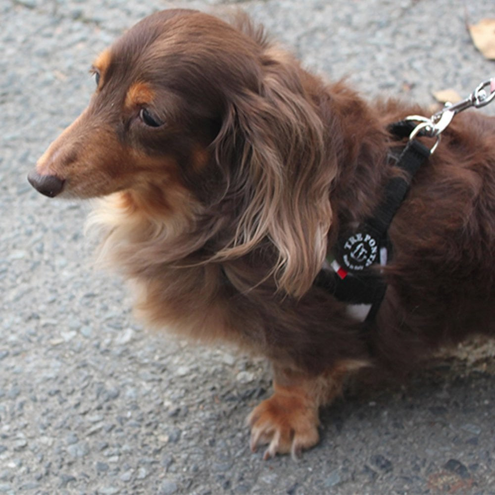 【パンサー/2.5号】Fibbia SYNTHETIC FUR TRE PONTI LTP115 ハーネス (シンプルタイプ) トレポンティ 小型犬ペット・ペットグッズ 犬用品 中型犬【犬服 ブランド】