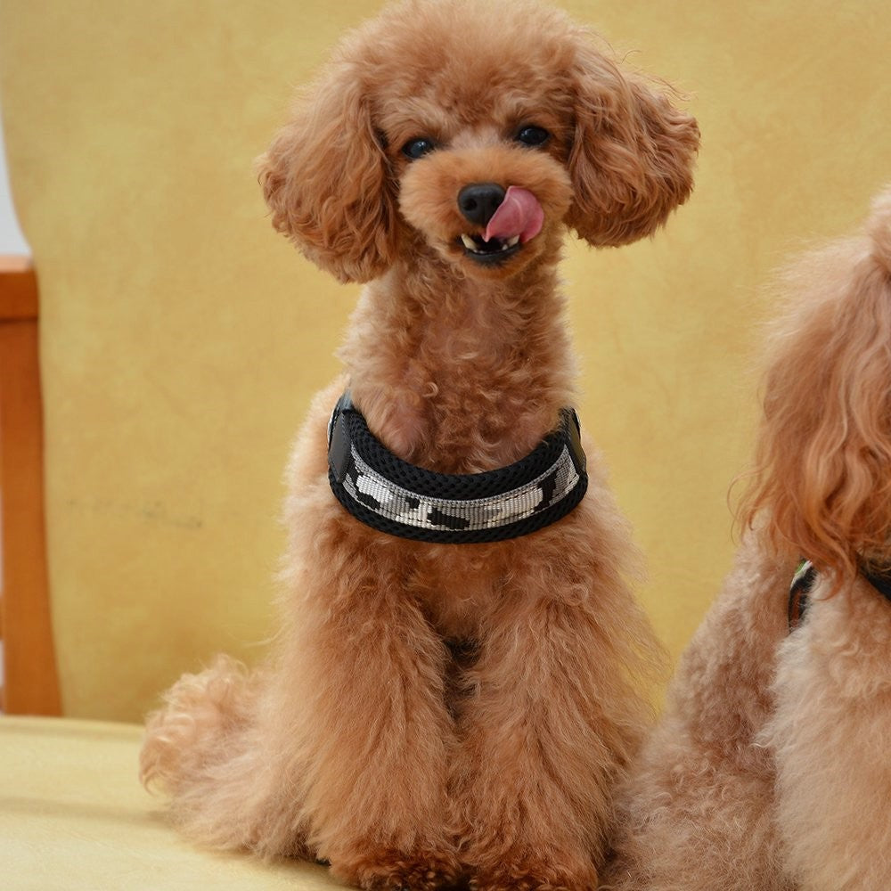 【ブルーカモ/1号】Fibbia PENNY COLLECTION/TRE PONTI LTP117 トレポンティ イタリア製 ペット ペット用品 犬用品 小型犬 中型犬 ハーネス 胴輪