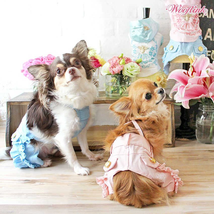 【2号/イエロー】【WOOFLINK】Rufflepastelpants ウーフリンク(小型犬/犬用/フリル/つなぎ/パンツ)【犬服 ブランド】