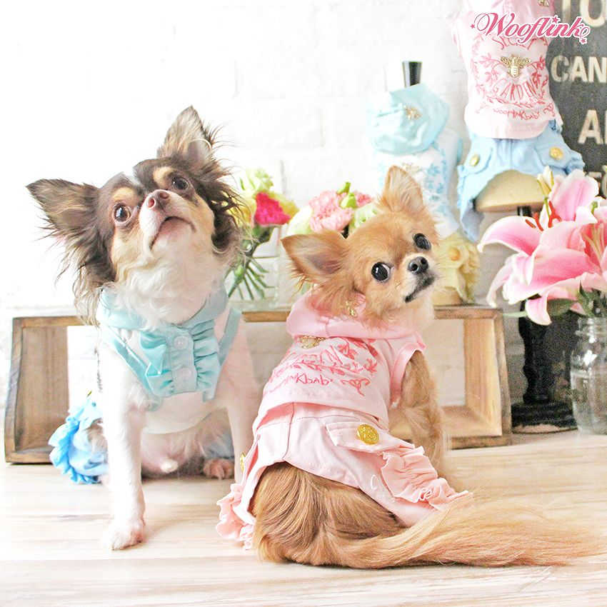 【2号/イエロー】【WOOFLINK】Rufflepastelpants ウーフリンク(小型犬/犬用/フリル/つなぎ/パンツ)【犬服 ブランド】