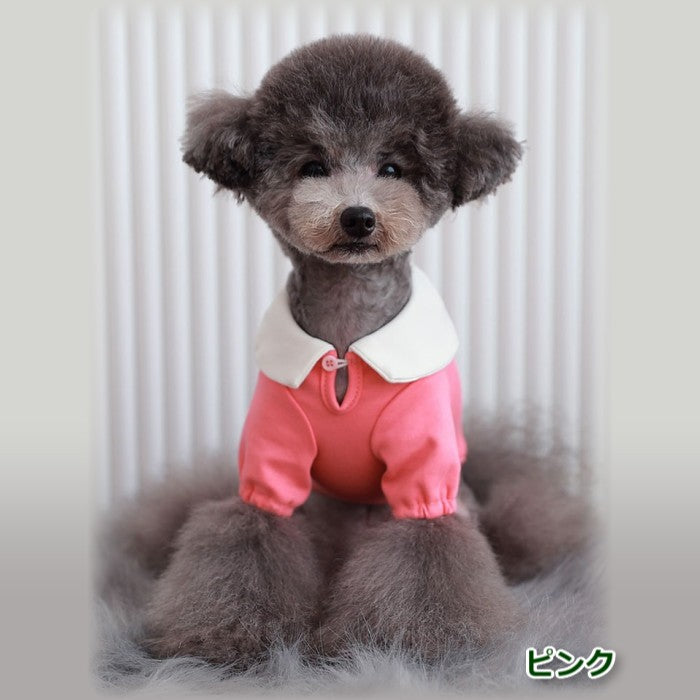 【Sサイズ/Lサイズ】リオキ カラー Tシャツ TOTO&ROY トトアンドロイ ペット ペット用品 犬用品 小型犬 中型犬 犬服 ドッグウェア プチプラ