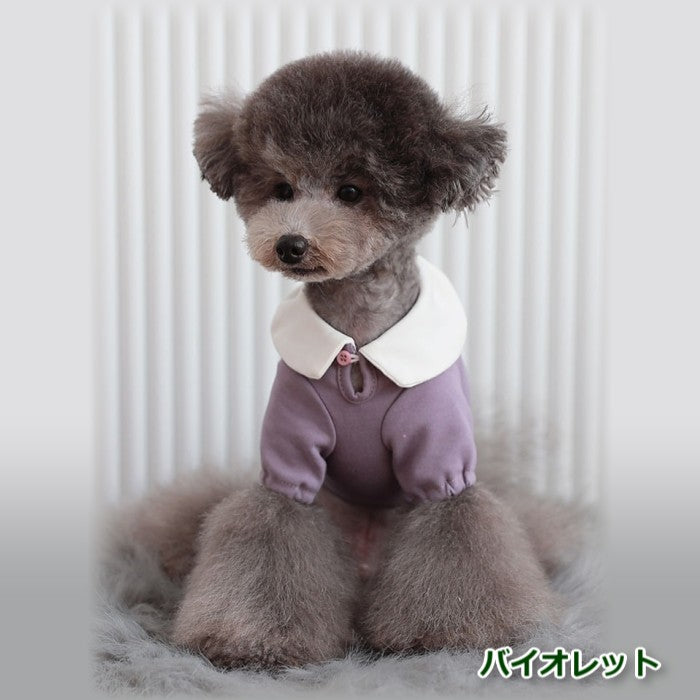 【Sサイズ/Lサイズ】リオキ カラー Tシャツ TOTO&ROY トトアンドロイ ペット ペット用品 犬用品 小型犬 中型犬 犬服 ドッグウェア プチプラ