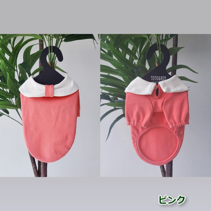 【Sサイズ/Lサイズ】リオキ カラー Tシャツ TOTO&ROY トトアンドロイ ペット ペット用品 犬用品 小型犬 中型犬 犬服 ドッグウェア プチプラ
