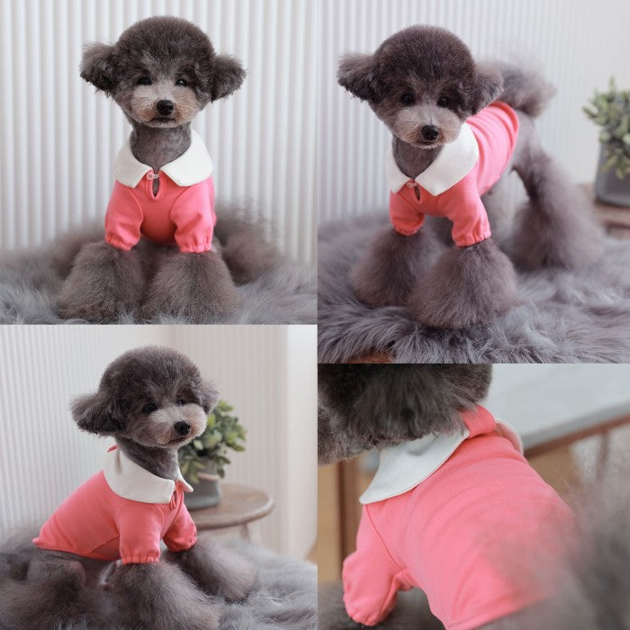 【Sサイズ/Lサイズ】リオキ カラー Tシャツ TOTO&ROY トトアンドロイ ペット ペット用品 犬用品 小型犬 中型犬 犬服 ドッグウェア プチプラ