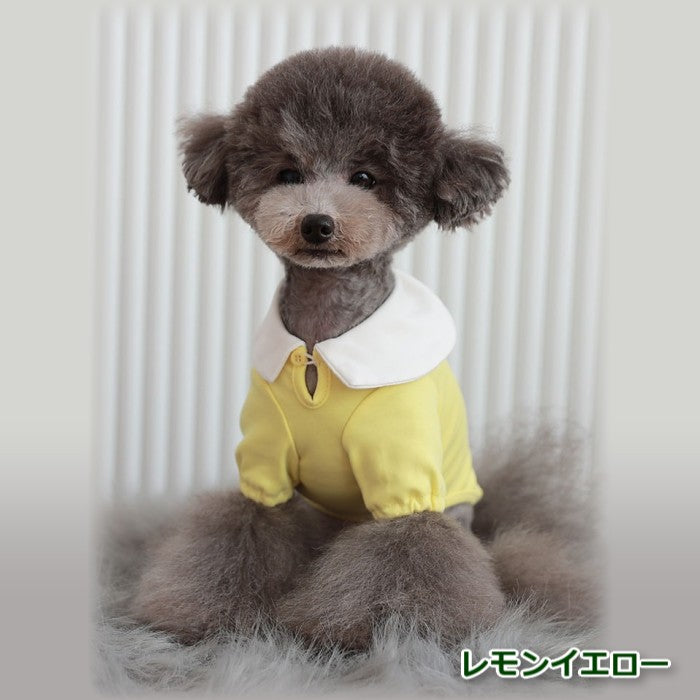 【Sサイズ/Lサイズ】リオキ カラー Tシャツ TOTO&ROY トトアンドロイ ペット ペット用品 犬用品 小型犬 中型犬 犬服 ドッグウェア プチプラ