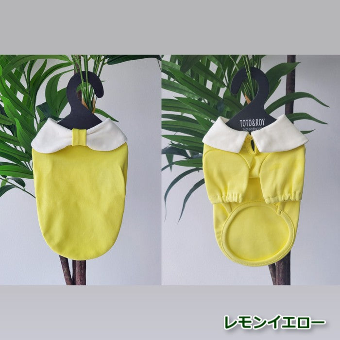 【Sサイズ/Lサイズ】リオキ カラー Tシャツ TOTO&ROY トトアンドロイ ペット ペット用品 犬用品 小型犬 中型犬 犬服 ドッグウェア プチプラ