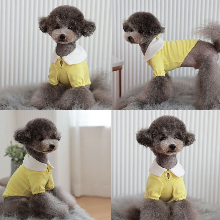 【Sサイズ/Lサイズ】リオキ カラー Tシャツ TOTO&ROY トトアンドロイ ペット ペット用品 犬用品 小型犬 中型犬 犬服 ドッグウェア プチプラ