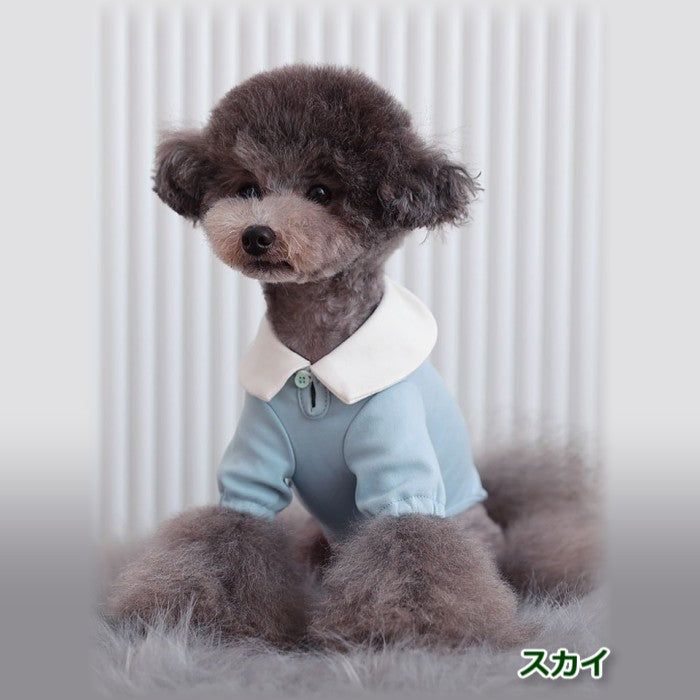 【Sサイズ/Lサイズ】リオキ カラー Tシャツ TOTO&ROY トトアンドロイ ペット ペット用品 犬用品 小型犬 中型犬 犬服 ドッグウェア プチプラ