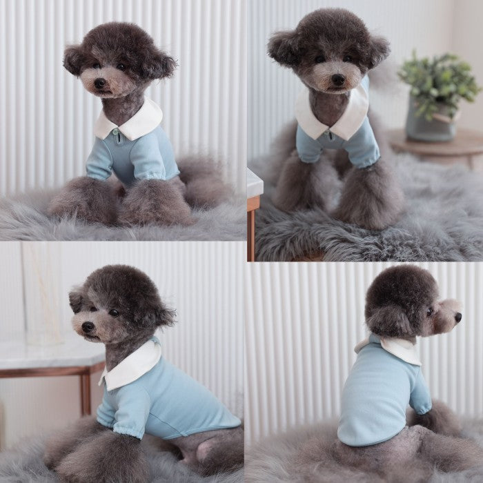 【Sサイズ/Lサイズ】リオキ カラー Tシャツ TOTO&ROY トトアンドロイ ペット ペット用品 犬用品 小型犬 中型犬 犬服 ドッグウェア プチプラ
