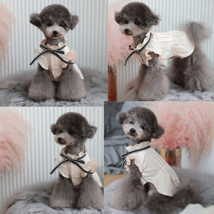 【Lサイズ】ティントフリルブラウス TOTO&ROY トトアンドロイ ペット ペット用品 犬用品 小型犬 中型犬 犬服 ドッグウェア プチプラ