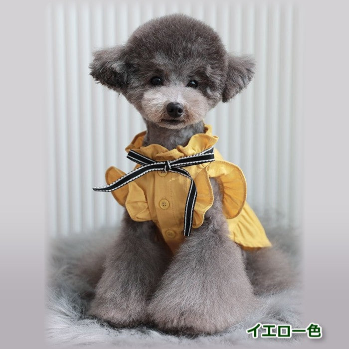 【Lサイズ】ティントフリルブラウス TOTO&ROY トトアンドロイ ペット ペット用品 犬用品 小型犬 中型犬 犬服 ドッグウェア プチプラ
