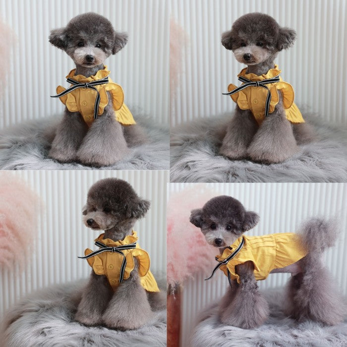 【Lサイズ】ティントフリルブラウス TOTO&ROY トトアンドロイ ペット ペット用品 犬用品 小型犬 中型犬 犬服 ドッグウェア プチプラ