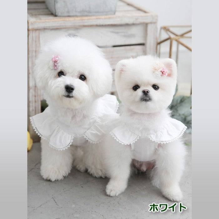 【M/L/XL】Angel Wing Blouseピンク/ブルー/ホワイトエンジェルブラウス TOTO&ROY トトアンドロイ ペット ペット用品 犬用品 小型犬 中型犬 ドッグウェア 犬服