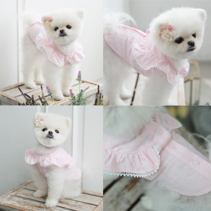 【M/L/XL】Angel Wing Blouseピンク/ブルー/ホワイトエンジェルブラウス TOTO&ROY トトアンドロイ ペット ペット用品 犬用品 小型犬 中型犬 ドッグウェア 犬服