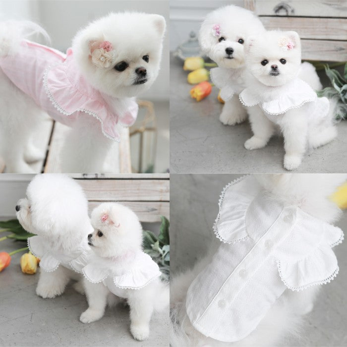 【M/L/XL】Angel Wing Blouseピンク/ブルー/ホワイトエンジェルブラウス TOTO&ROY トトアンドロイ ペット ペット用品 犬用品 小型犬 中型犬 ドッグウェア 犬服