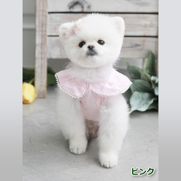 【M/L/XL】Angel Wing Blouseピンク/ブルー/ホワイトエンジェルブラウス TOTO&ROY トトアンドロイ ペット ペット用品 犬用品 小型犬 中型犬 ドッグウェア 犬服