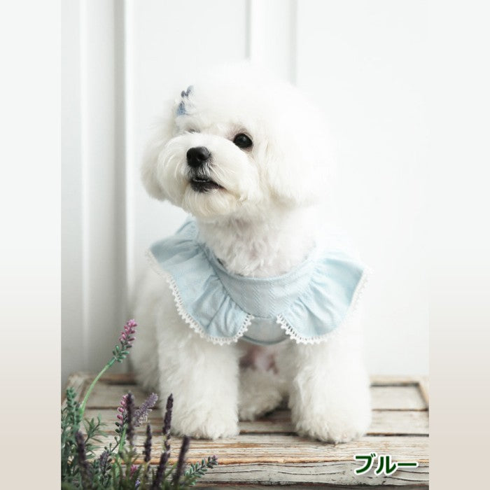 【M/L/XL】Angel Wing Blouseピンク/ブルー/ホワイトエンジェルブラウス TOTO&ROY トトアンドロイ ペット ペット用品 犬用品 小型犬 中型犬 ドッグウェア 犬服