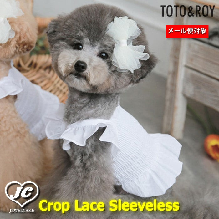 【Crop Lace Sleeveless 】クロップレースノースリーブ 【小型犬/ノースリーブ/シンプル/コットン/レース/トップス/ ドッグウェア/犬服/ミニドレス/ttry】【犬服 ブランド】