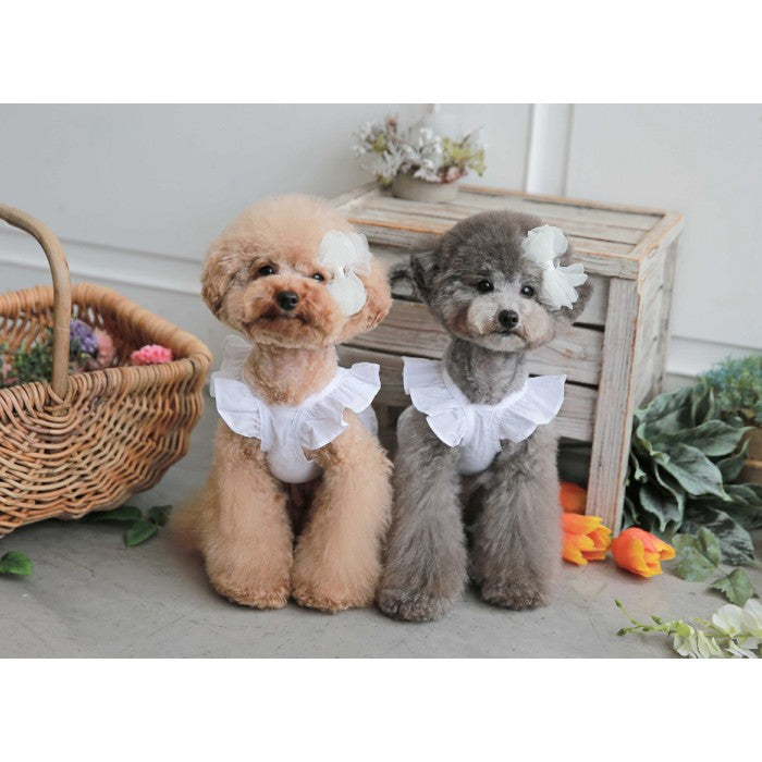 【Crop Lace Sleeveless 】クロップレースノースリーブ 【小型犬/ノースリーブ/シンプル/コットン/レース/トップス/ ドッグウェア/犬服/ミニドレス/ttry】【犬服 ブランド】