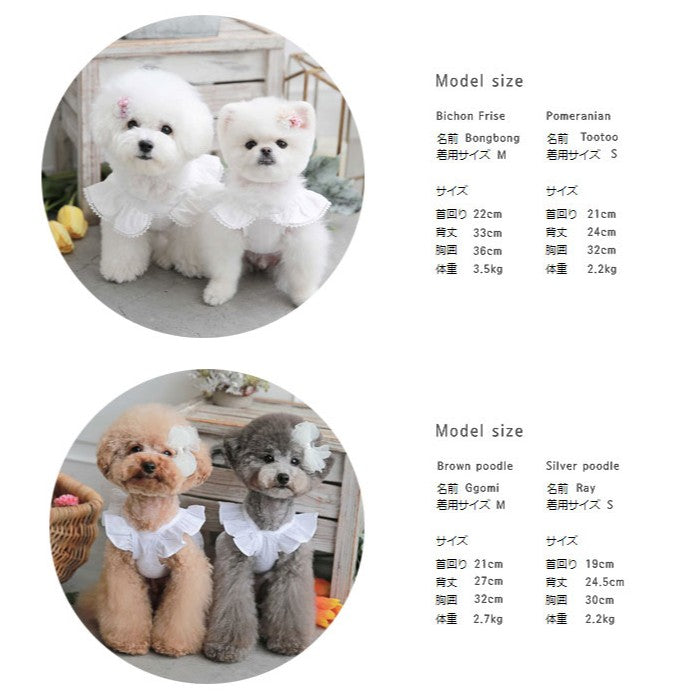 【Crop Lace Sleeveless 】クロップレースノースリーブ 【小型犬/ノースリーブ/シンプル/コットン/レース/トップス/ ドッグウェア/犬服/ミニドレス/ttry】【犬服 ブランド】