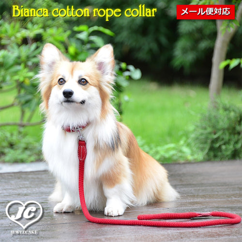【ダヴィンチ】Bianca cotton rope collar【size:2.5/3/3.5】