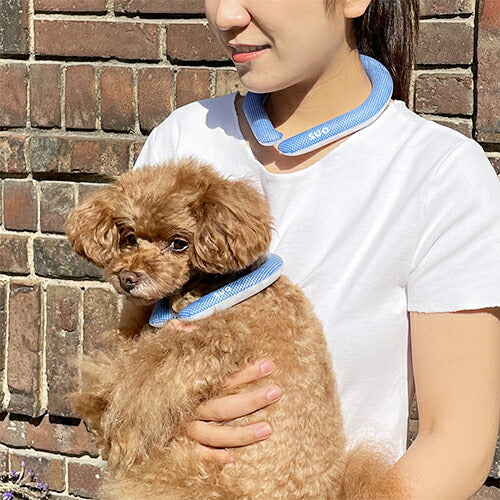 【SUO】[サイズ:S]ボタンなし SUO for dogs 28°ICE_COOL RING（スオ 28°アイスクールリング）＜全10色＞　SUO　スオ　暑さ対策　28℃で凍る　冷えすぎない　ひんやり感持続　繰り返し使える　犬　ペット用品　犬用品　小型犬　中型犬　大型犬
