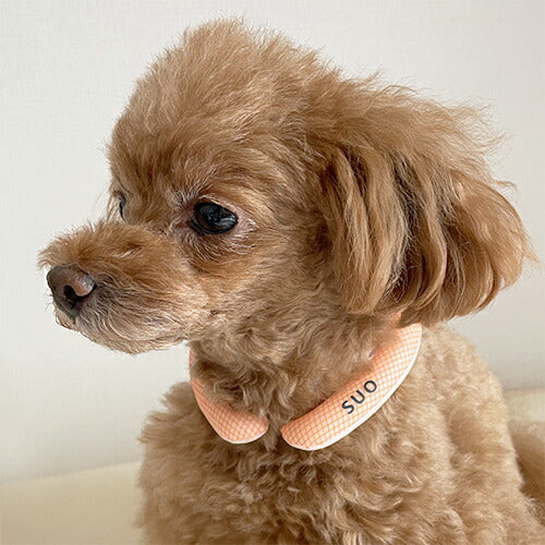 【SUO】[サイズ:S]ボタンなし SUO for dogs 28°ICE_COOL RING（スオ 28°アイスクールリング）＜全10色＞　SUO　スオ　暑さ対策　28℃で凍る　冷えすぎない　ひんやり感持続　繰り返し使える　犬　ペット用品　犬用品　小型犬　中型犬　大型犬