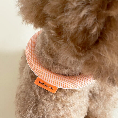 【SUO】[サイズ:S]ボタンなし SUO for dogs 28°ICE_COOL RING（スオ 28°アイスクールリング）＜全10色＞　SUO　スオ　暑さ対策　28℃で凍る　冷えすぎない　ひんやり感持続　繰り返し使える　犬　ペット用品　犬用品　小型犬　中型犬　大型犬