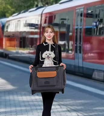 【SALE】Alice/アリス　ROYAL TAILS　ロイヤルテイルズ　7in1　多機能　ドッグカート　ペットキャリー　バックパック