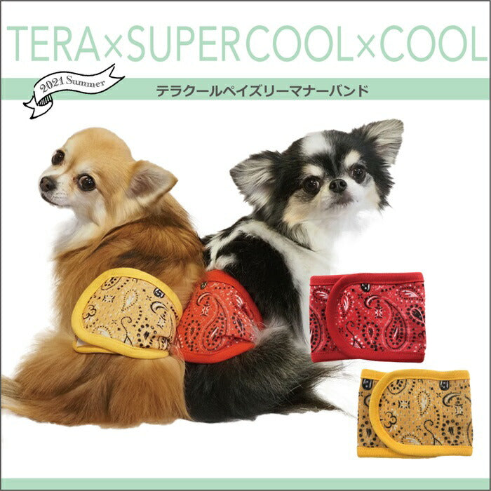 【レッド/S】　ドッググッズ テラクール [ペイズリーマナーバンド]（2色）7240[犬グッズ]