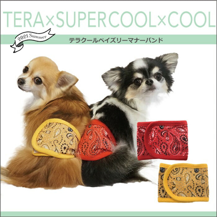 【レッド/S】　ドッググッズ テラクール [ペイズリーマナーバンド]（2色）7240[犬グッズ]