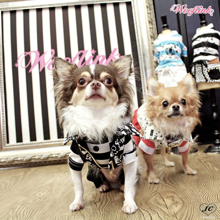 COOL KID IN TOWN　ドッグウェア【WOOFLINK】ウーフリンク （レザー/ベスト/かっこいい/ライダース/犬服）【犬服 ブランド】